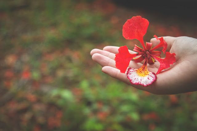 Trở lại trường sau kỳ nghỉ dịch Covid-19: Một mùa “hè” đáng nhớ!