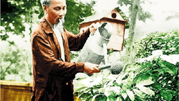 Bác Hồ với ''Tết trồng cây'' và ''Tết trồng người''