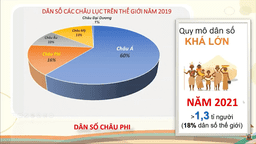 Bài giảng Địa lí Lớp 5 - Bài 24 Châu Phi (tiếp)