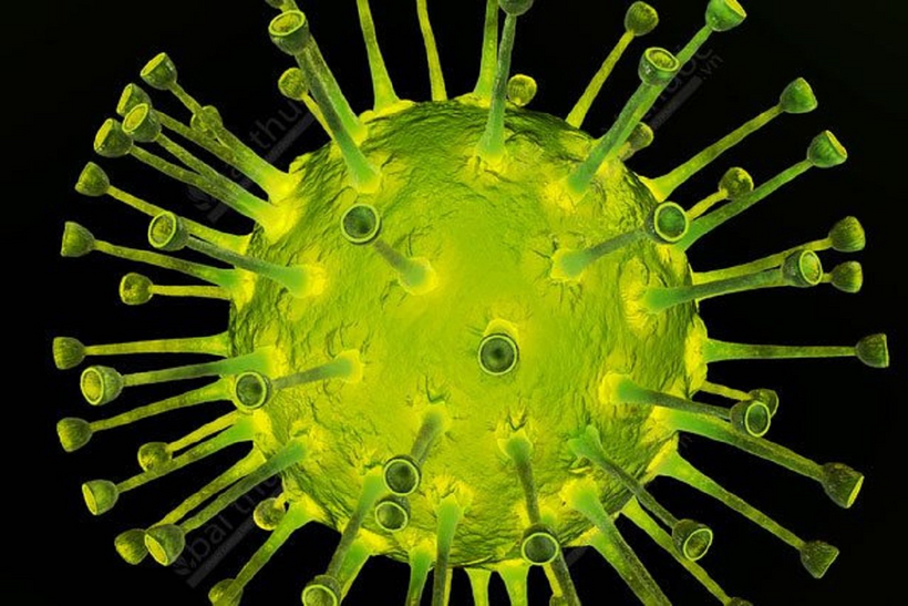 virus thủy đậu